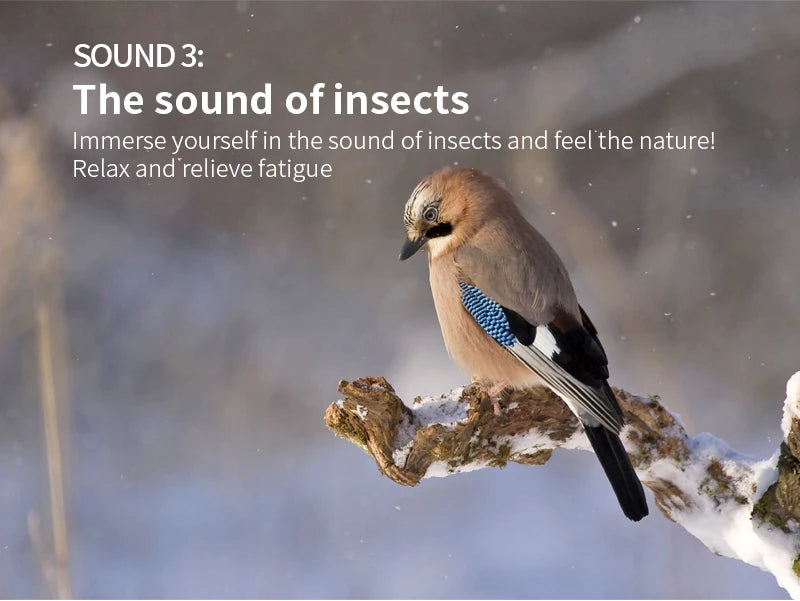 Portable White Noise Machine