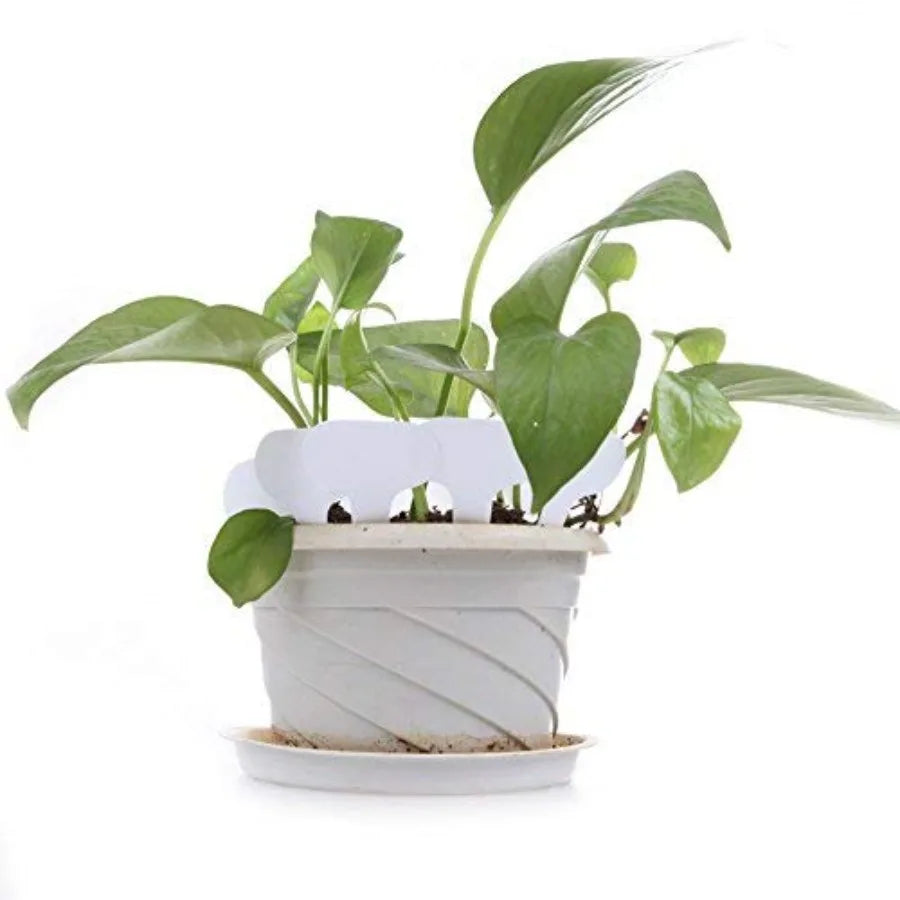 100 Pcs White Plastic Plant Labels Waterproof T-Type - set overview