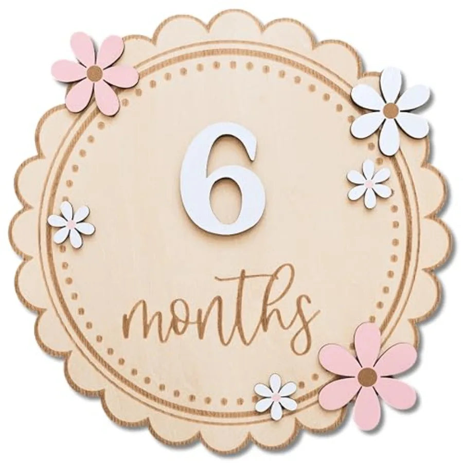 Baby Girl Monthly Milestone Signs - front view